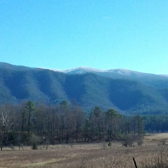 Meet your Posher, Dylan - Picture 1 of 1